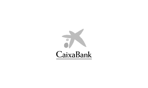 Company Name