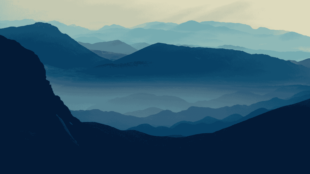 Paso 03 - Presentación en Plazo